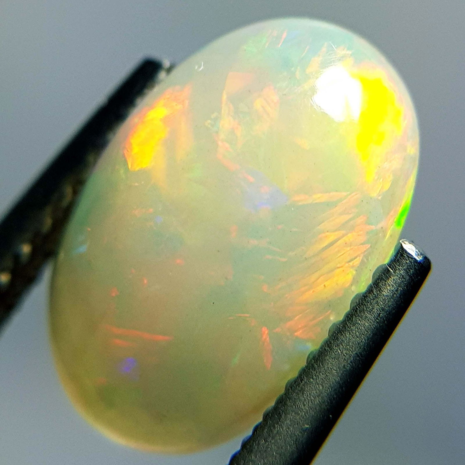 Natural Fire Opal Oval Cabochon 1.56 ct (1 of 6)
