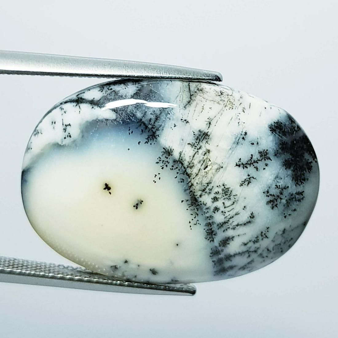 23.99 ct Natural Dendrite Opal (1 of 5)