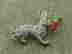 item-104387725=4