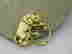 item-104387737=2