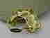 item-104387737=5