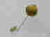 item-104387738=2