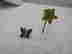 item-104387742=2