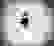 item-104818322=4