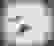 item-104818461=2