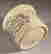 item-104862503=4