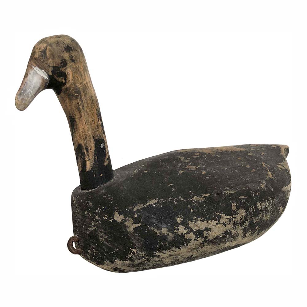Root Head "Coot" Decoy (1 of 8)