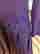 item-104886563=2