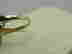item-104892356=4