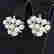 item-104933185=2