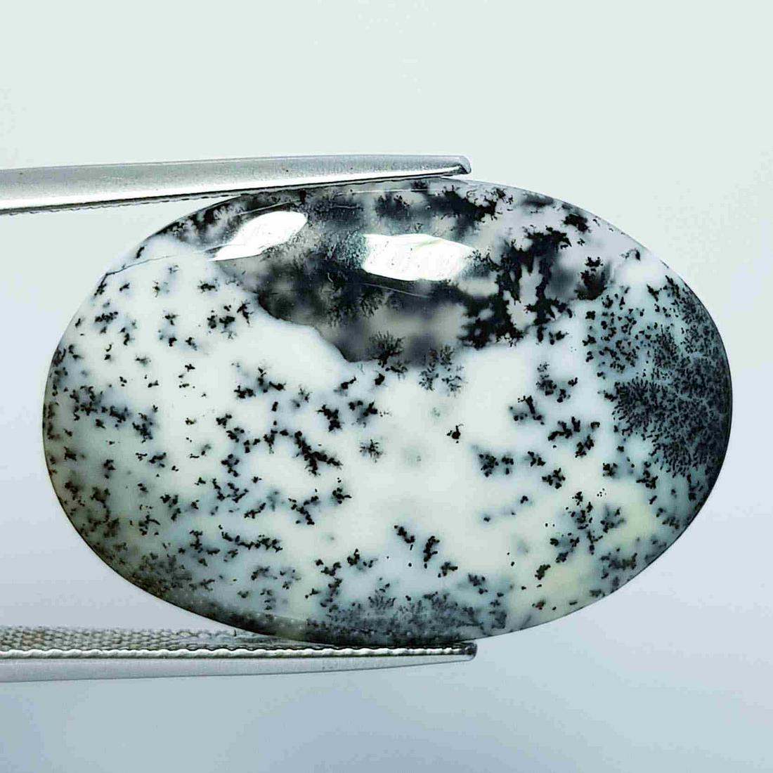 19.40 ct Natural Dendrite Opal (1 of 5)
