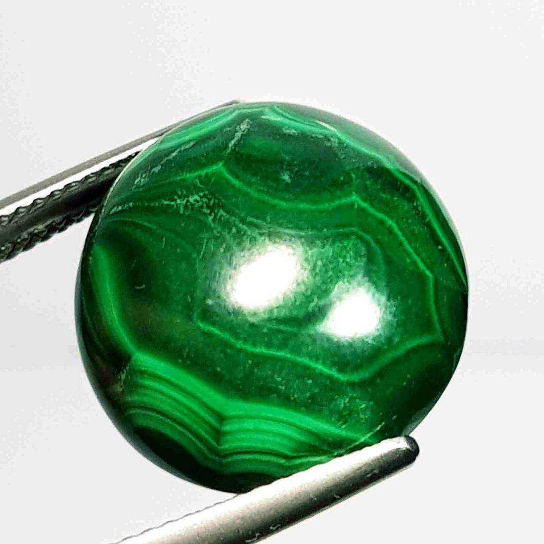 25.09 ct Natural Malachite: No Reserve! Title: 25.09 ct Natural Malachite Color/Clarity: Opaque Gemstones: Loosegemstone Carat Weights: 25.09 Size/Dimensions: 17.60 x 17.60 x 7.50 Additional Information: Round - USA/Egypt Shippi