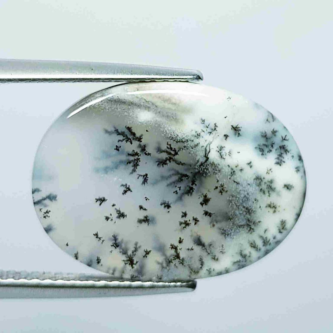 37.55 Ct Natural Dragon Jasper: No Reserve! Title: 37.55 Ct Natural Dragon Jasper Color/Clarity: Opaque Gemstones: LooseGemstone Carat Weights: 37.55 Size/Dimensions: 37.15 x 16.15 x 6.45 Additional Information: Oval - Africa Shippi