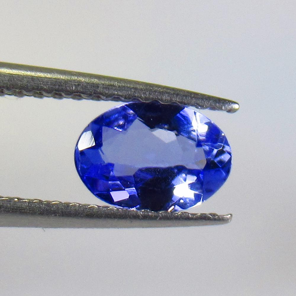 0.67 Ctw Natural Tanzanite Oval Cut: No Reserve! Title: 0.67 Ctw Natural Tanzanite Oval Cut Stone Clarity: VVS Gemstone: Tanzanite Carat Weight: 0.67 Size/Dimensions: 7.00 x 4.90 x 2.60 mm Additional Information: Top Quality Luster / Exc