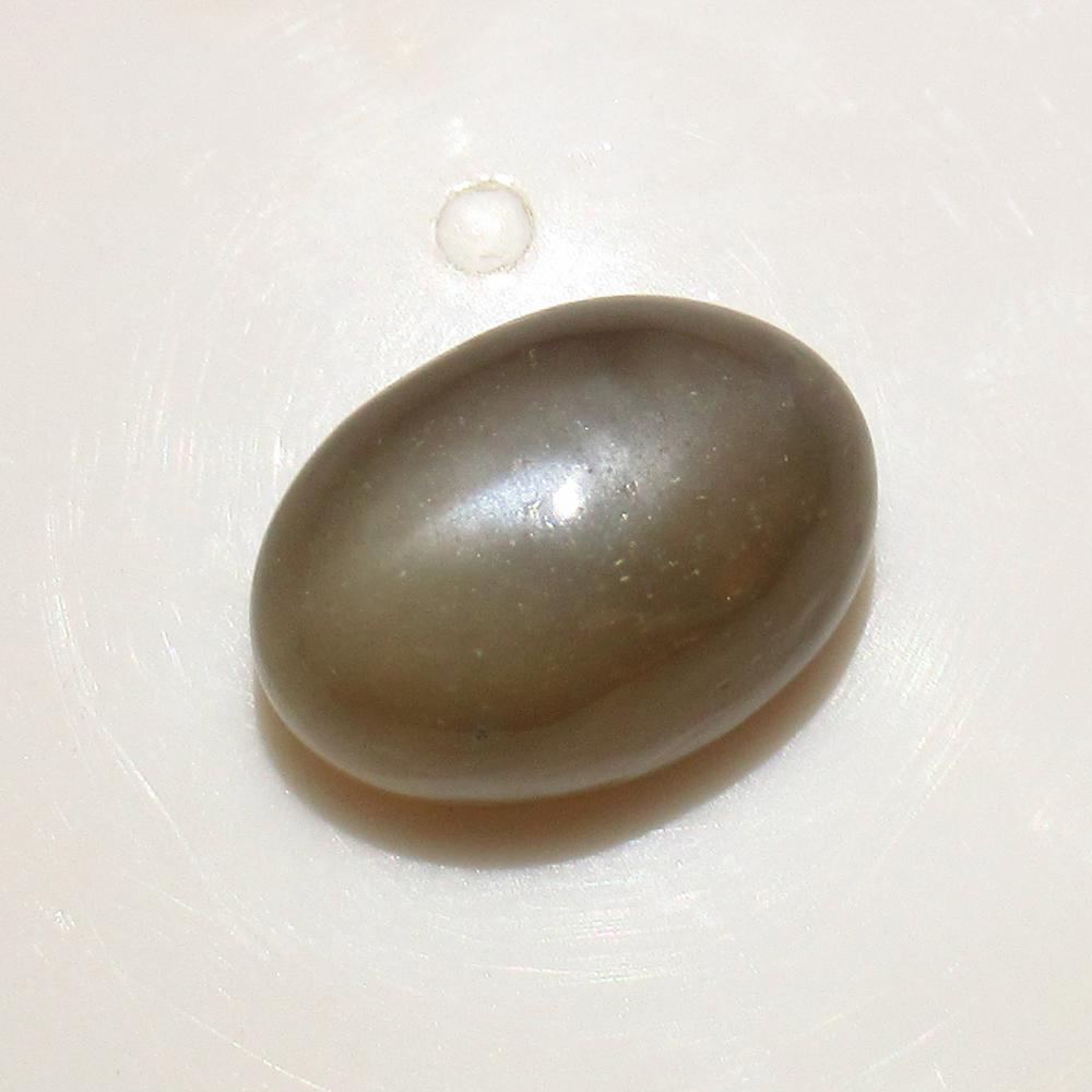 16.08 Ctw Natural Moonstone Oval Cab: No Reserve! Title: 16.08 Ctw Natural Moonstone Oval Cab Stone Clarity: Opaque Gemstone: Natural Moonstone Carat Weight: 16.08 Size/Dimensions: 17.30 x 12.00 x 9.80 mm Additional Information: Nice Oval