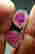 item-104963221=3