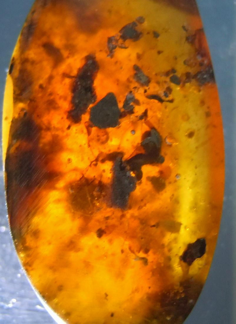 100 MILL YEARS OLD BURMITE AMBER: Title: 100 MILL YEARS OLD BURMITE AMBER Origin: Hukawang Valley, Kachin State, Myanmar Size: 2.5x0.8x0.55 cm / 1.08 gram Description: burmite amber with many unidentified inclusions Reserve: $3.00 Shi