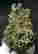item-104963677=3