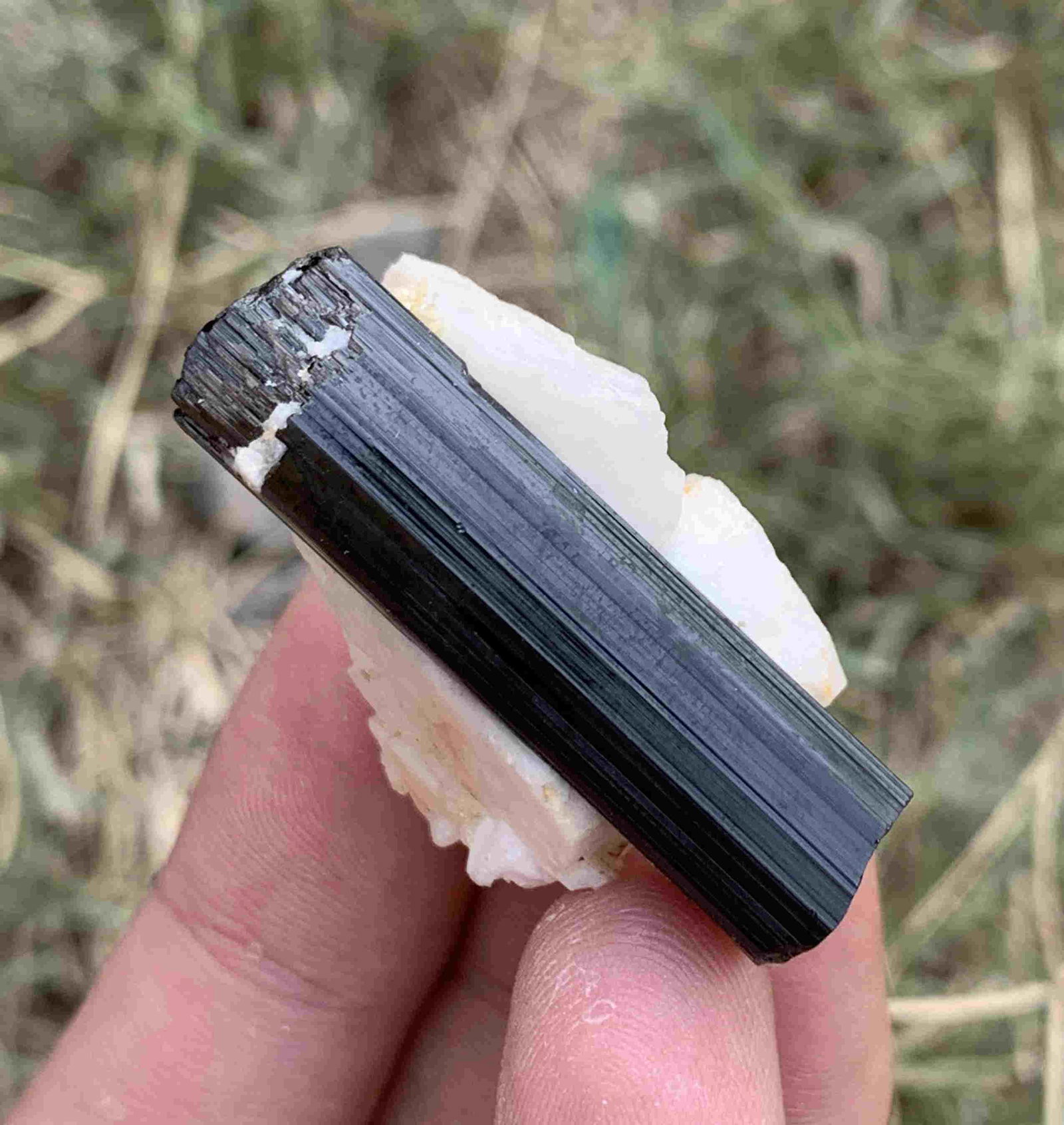19 Gram Beautiful Natural Tourmaline Specimen: Title: 19 Gram Beautiful Natural Tourmaline Specimen Weight: 19 Gram Size/Dimensions: 37x17x14 mm Origin: Pakistan Reserve: $15.00 Shipping: Domestic: Flat-rate of $15.00 to anywhere within the contig