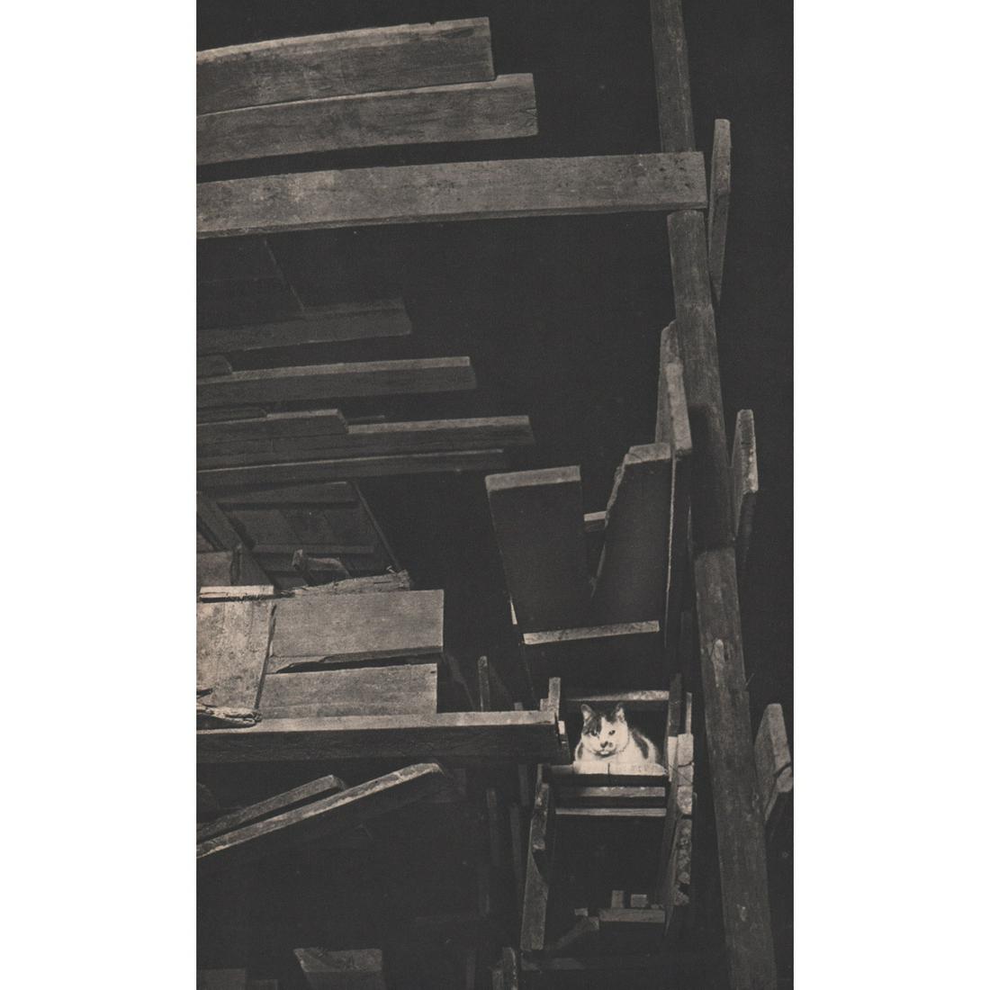 BRASSAI - Cat: Artist: BRASSAI Print Title: Cat Medium: Sheet-fed Gravure Printing Date: 1940's Printed in France Image size approx. 11.25 X 7 inches Brassai was a Hungarian–French photographer, sculptor, writer,