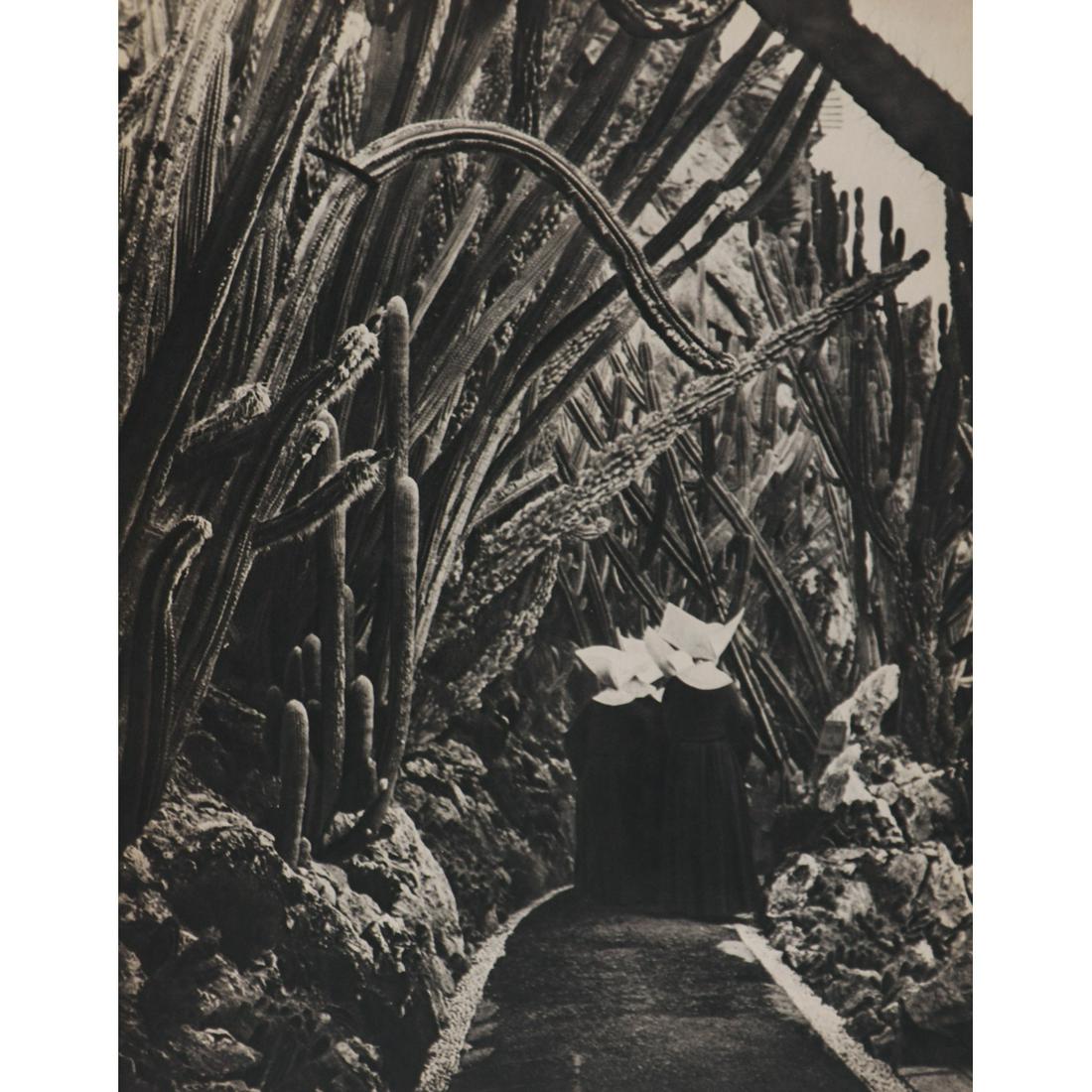 BRASSAI - Exotic Garden, Monaco. 1946: Artist: BRASSAI Print Title: Exotic Garden, Monaco. 1946 Medium: Sheet-fed Gravure Printing Date: 1940's Printed in France Image size approx. 11.5 x 9 inches Brassai, pseudonym of Gyula Halász, (1899