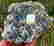 item-105142689=5