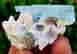 item-105142888=4