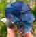 item-105143059=3