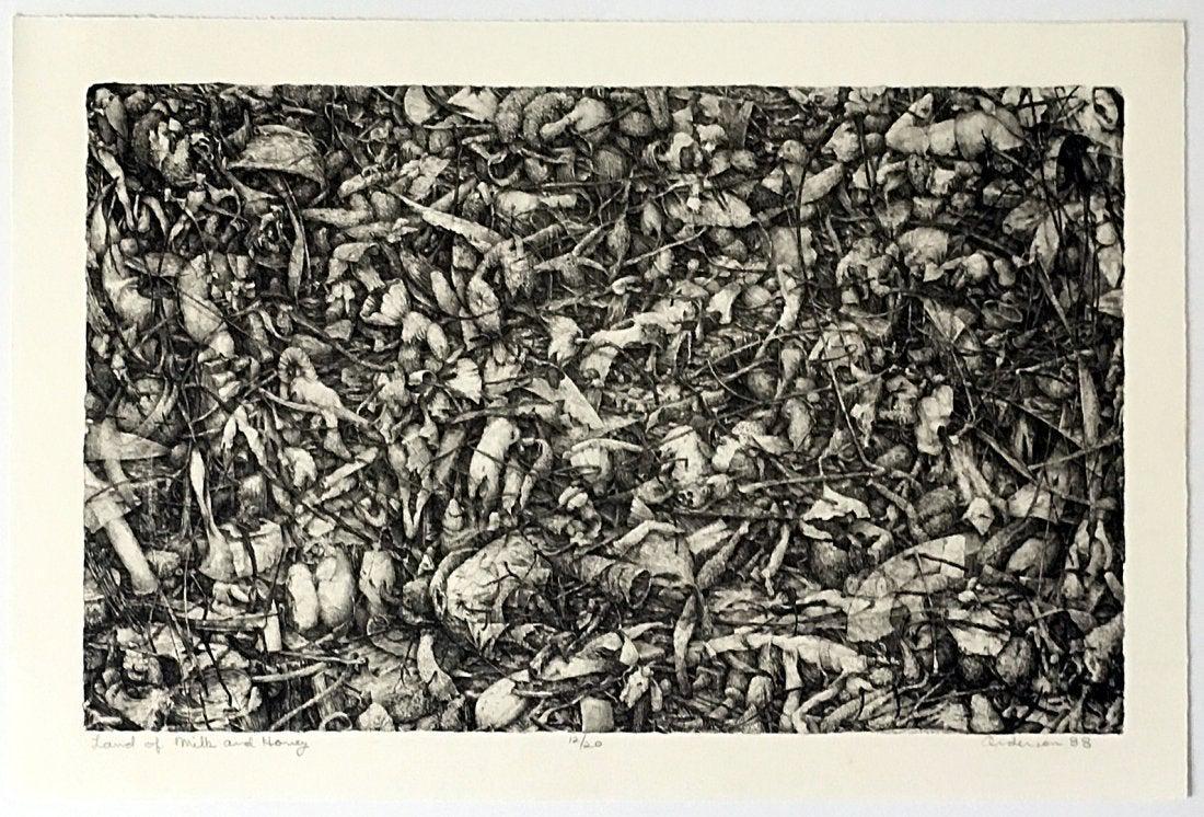 Bob Anderson: Land of Milk and Honey 1988 (1 of 1)