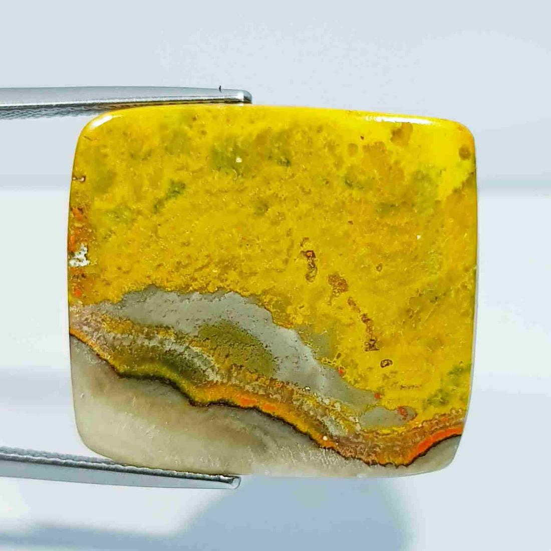 23.65 ct Natural Bumble Bee Jasper (1 of 5)