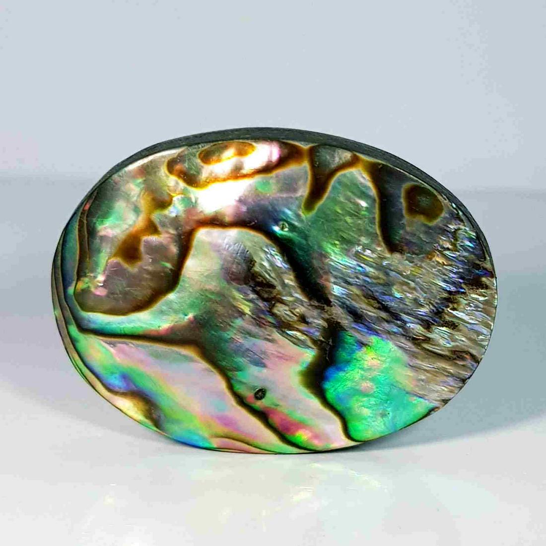 40.70 ct Australian Abalon (1 of 5)