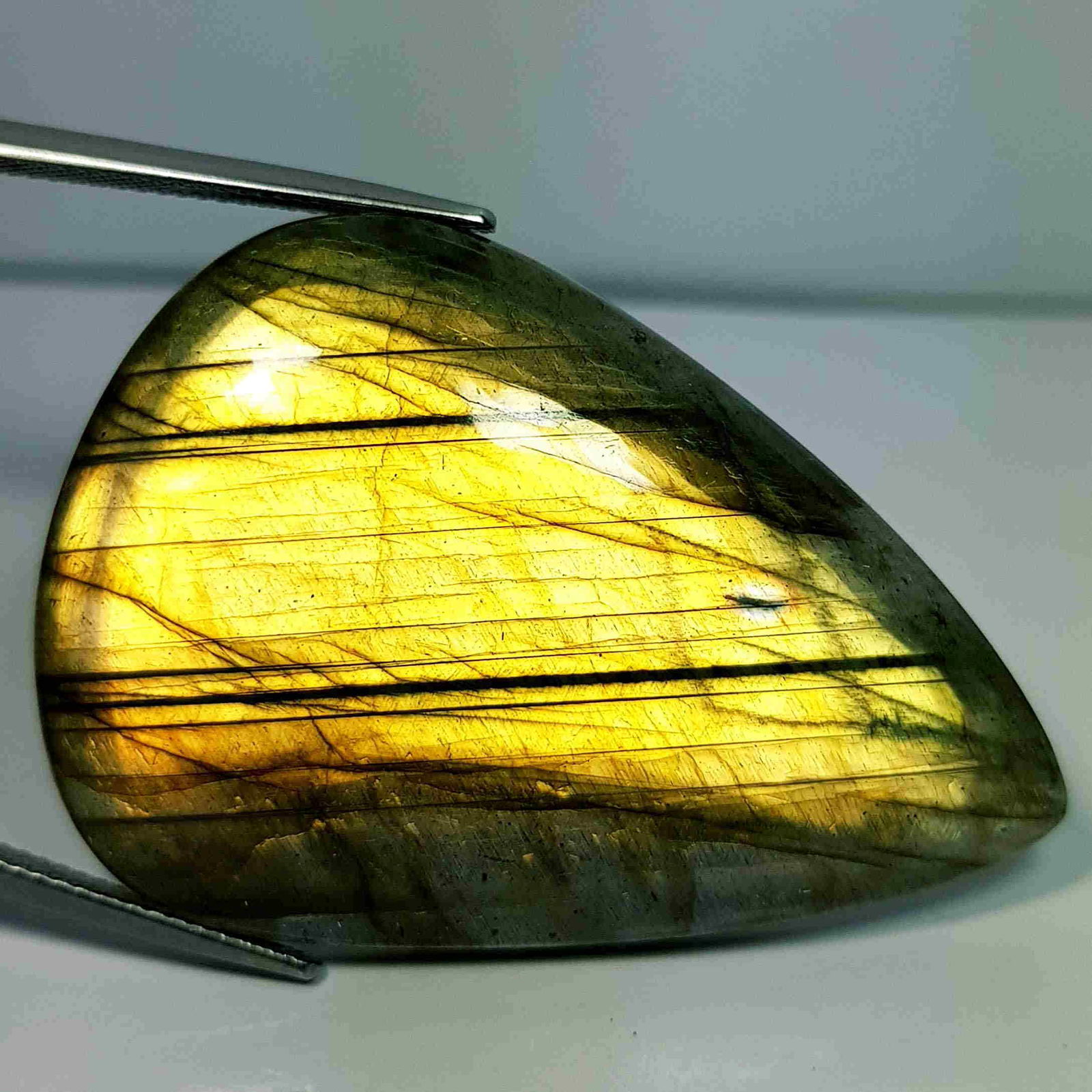 61.39 Ct Natural Labradorite: No Reserve! Title: 61.39 Ct Natural Labradorite Color/Clarity: Opaque Gemstones: LooseGemstone Carat Weights: 61.39 Size/Dimensions: 48.05 x 34.55 x 11.55 Additional Information: Pear - USA Shipping: