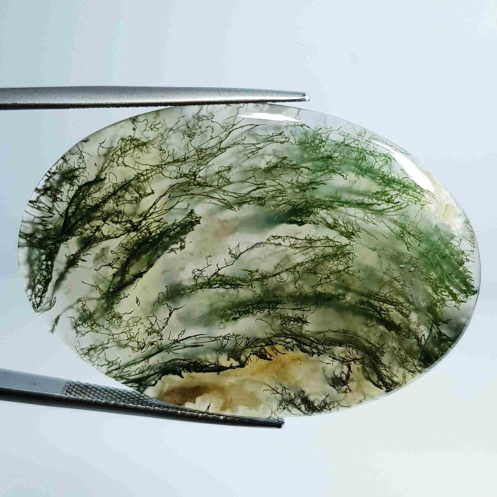 58.24 Ct Natural Crazy Lace (1 of 5)