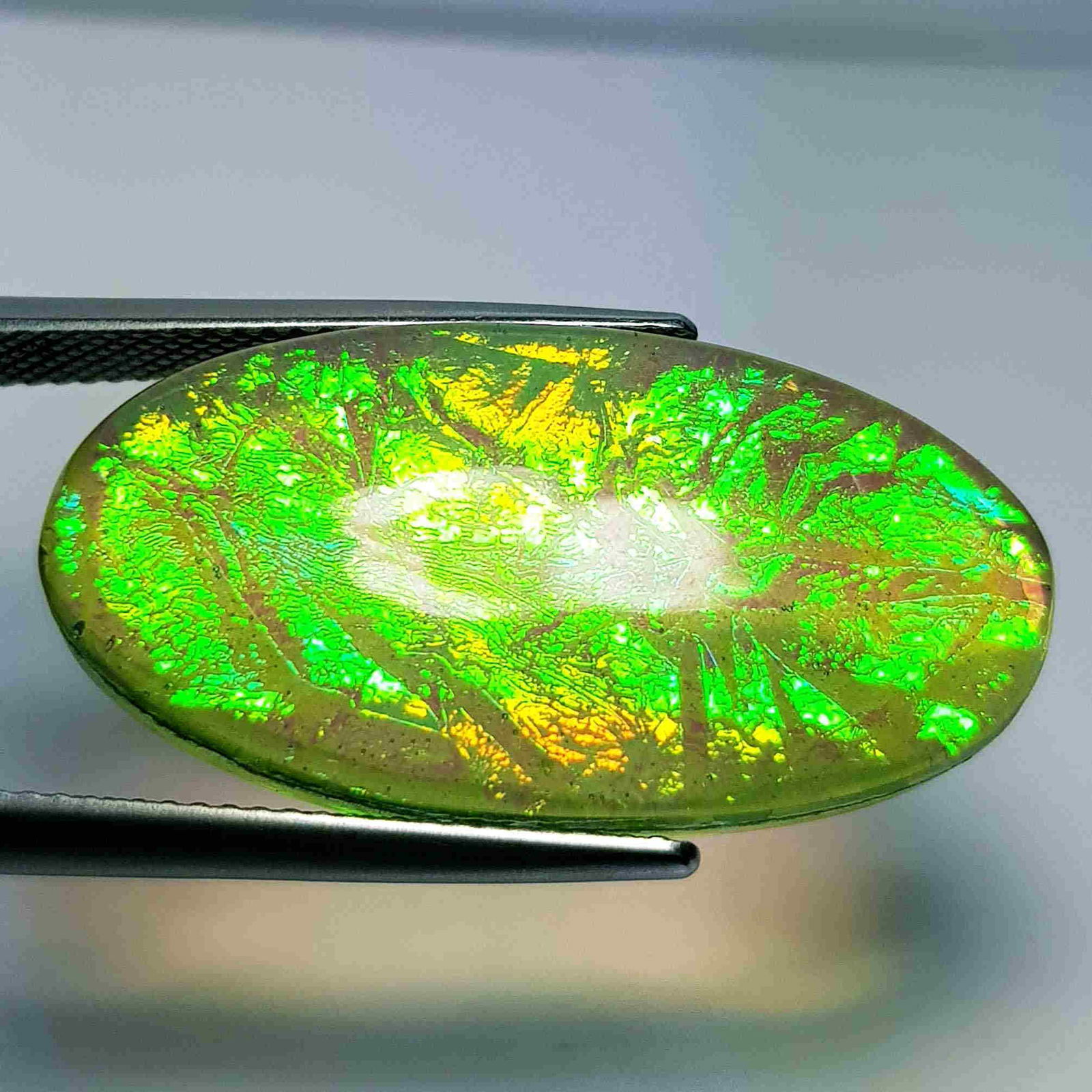 23.60 ct Australian Doublet Opal (1 of 5)