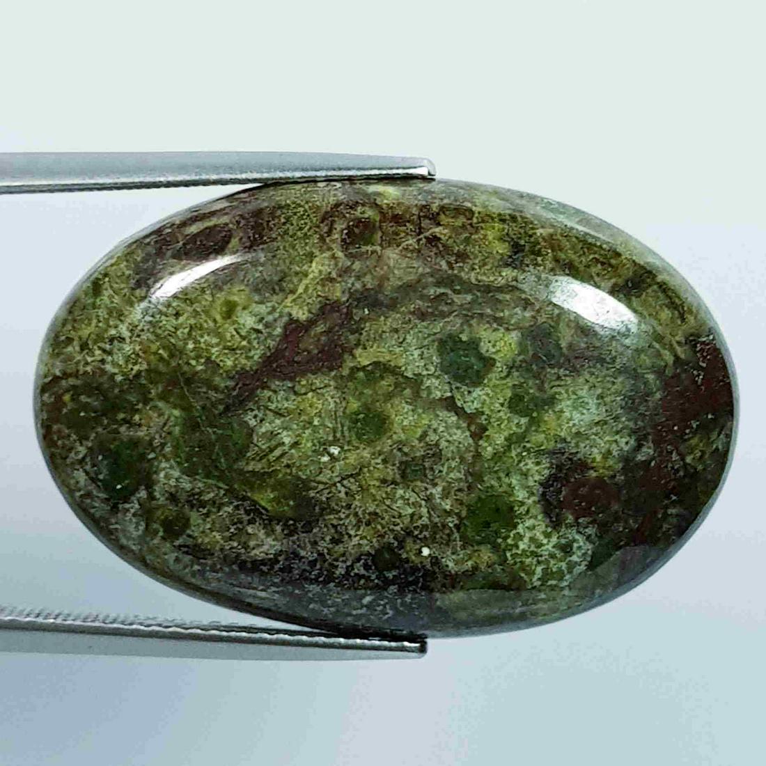 37.75 Ct Natural Dragon Jasper (1 of 5)