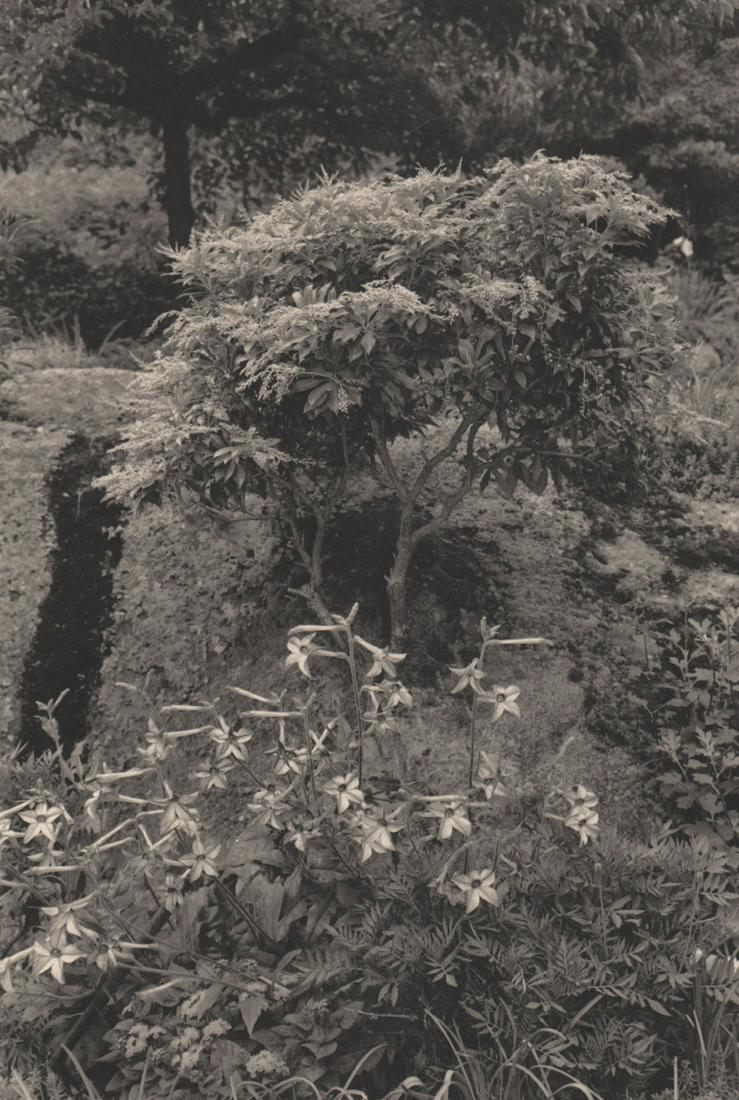 LEE FRIEDLANDER - New York City, 1976: Artist: LEE FRIEDLANDER Print Title: New York City, 1976 Medium: Photoengraving Printed 1980’s in the US Image size (inches) approx. 11 x 7.5” Lee Friedlander is an American photographer and artis