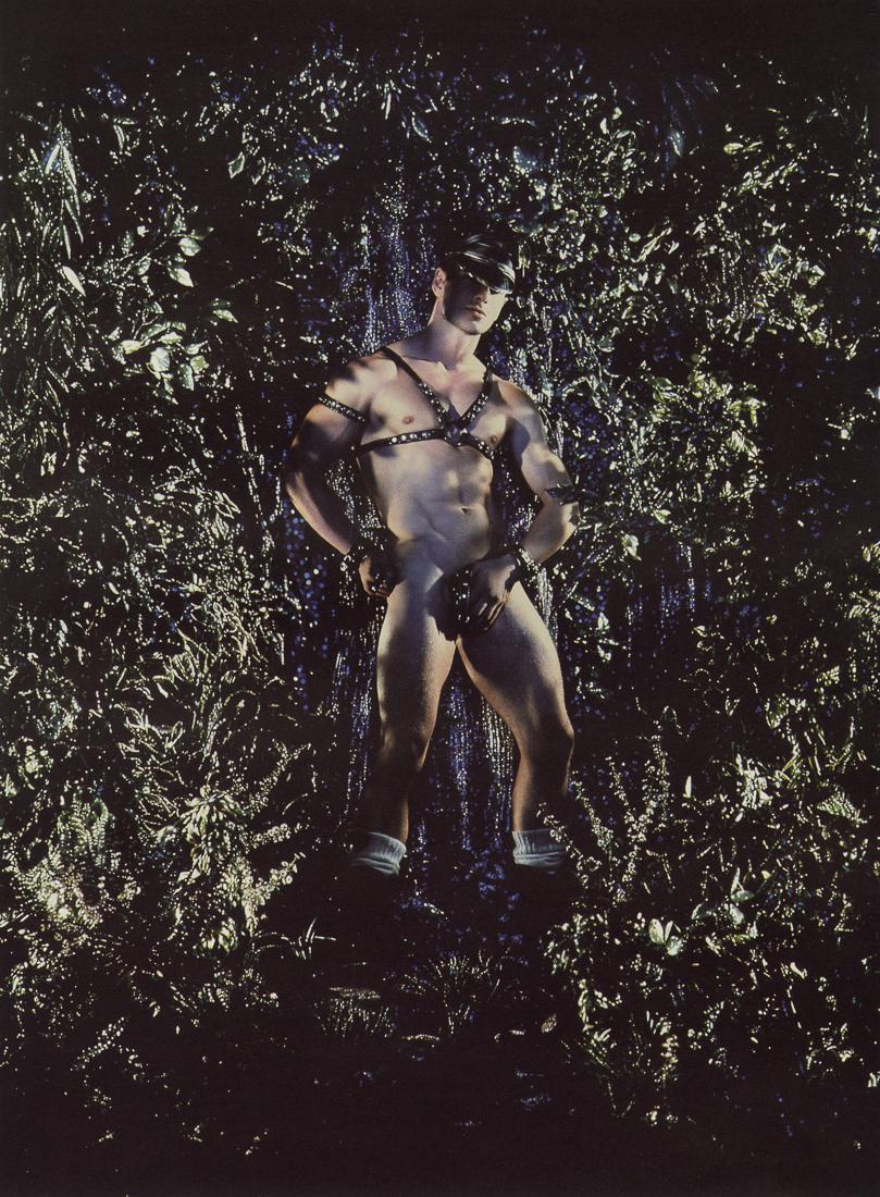 PIERRE & GILLES - Les Plaisirs de la Foret, 1995 (1 of 1)