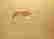 item-105389241=2