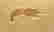 item-105389241=3