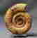 item-105389287=4