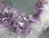 item-105742183=4
