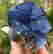 item-105406408=3