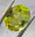 item-105410807=3