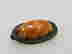 item-105415575=2