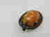 item-105415575=3