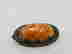 item-105415575=4
