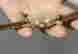 item-105866481=4