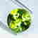 item-105884073=3