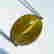 item-105884092=3