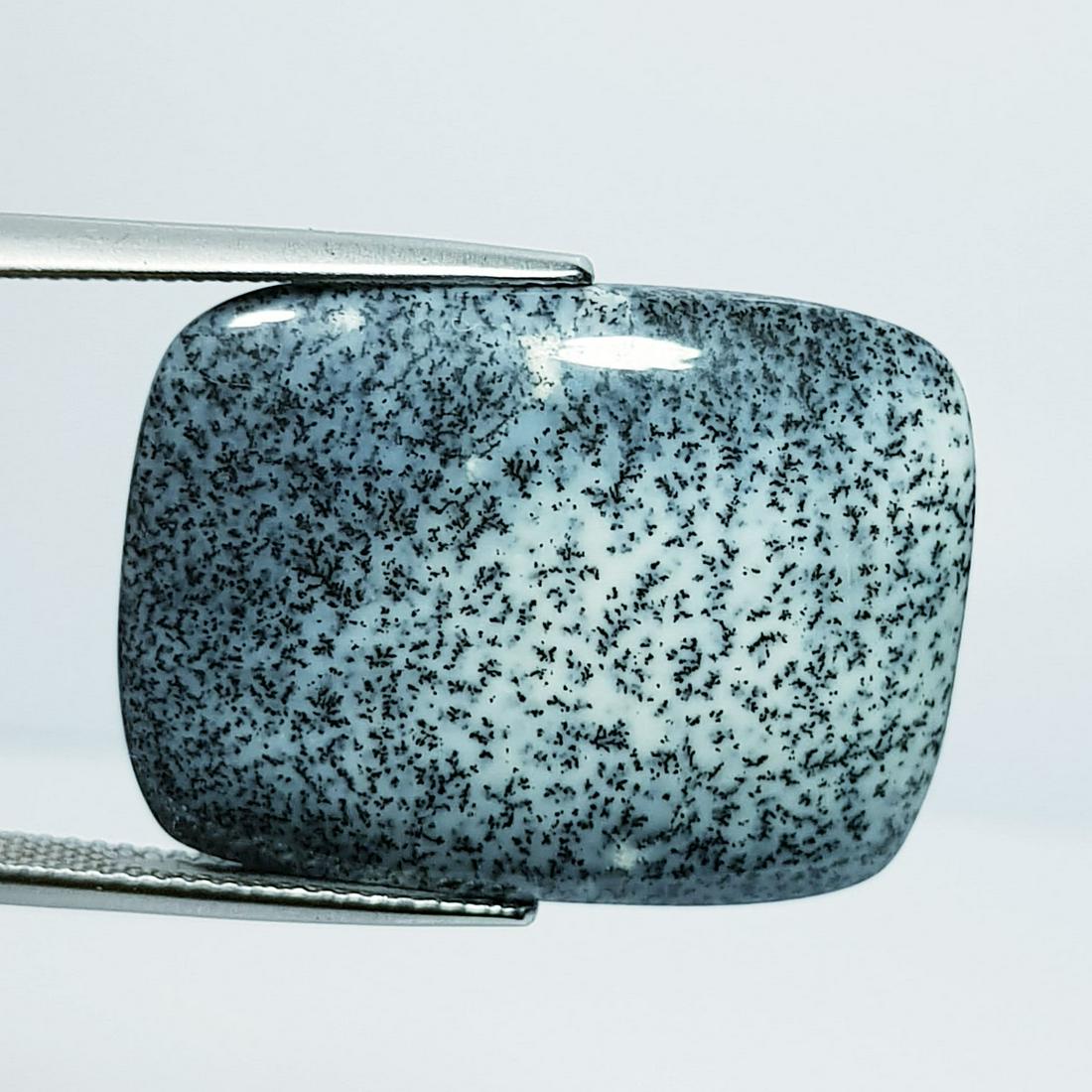 Natural Dendrite Opal Rectangle Cabochon 17.76 Ct (1 of 4)